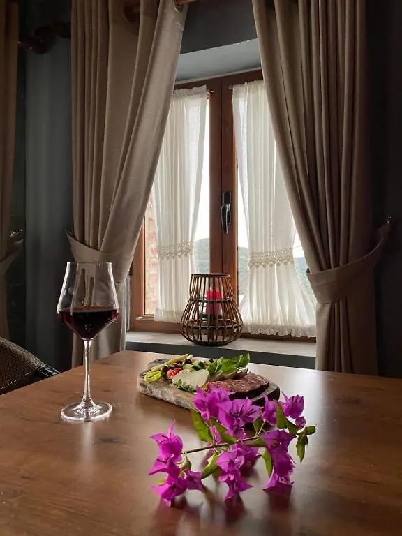Keshtjella Xhabeqos Apartment Tirana